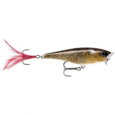Image of Rapala Skitter Pop Lure with Two No. 6 Hooks, Surface Swimming Depth, 5 cm Size, Live Field Mouse