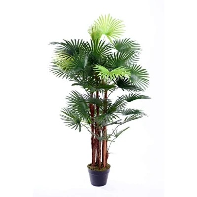 Image of Best Artificial Spider Finger Palm Tree Tropical Office Conservatory Indoor Outdoor Garden Plant … (4ft / 120cm)
