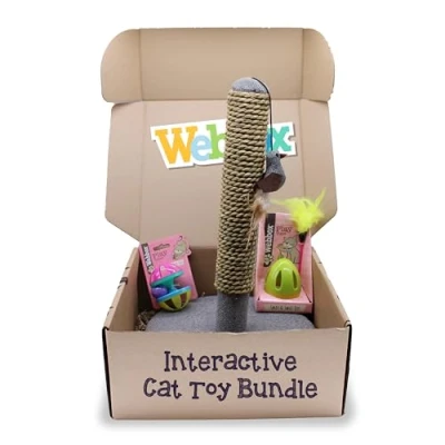 Image of Webbox Interactive Cat Toy Bundle Box (3 Pack) Feather Wand, Jingle Ball &amp; Scratch Post for Indoor Adult Cats Kittens