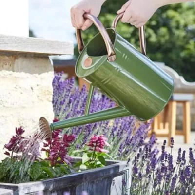 Image of Garden Mile 4.5L Sage Green Watering Can Steel Outdoor Indoor Water Plants Lawn Borders Patio Planters Baskets Lightweight Hand Held with Rose