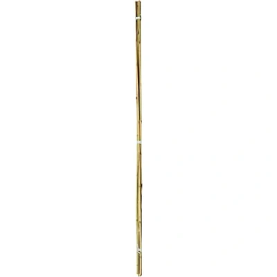 Image of Ambassador Bamboo Canes 3&#039; Pack of 20