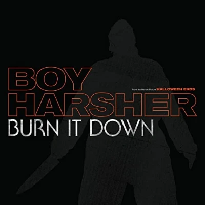 Image of BURN IT DOWN [VINYL]