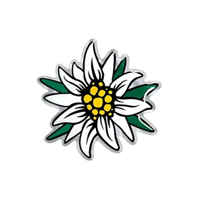 Image of 4R Quattroerre.it 14170 3D Sticker Edelweiss HQ, 54 x 53 mm