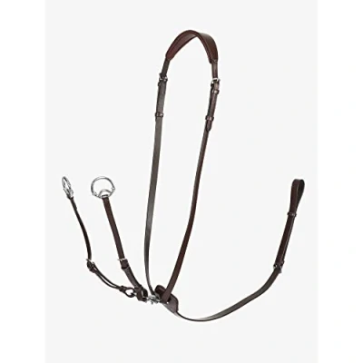 Image of LeMieux Kudos Running Martingale Havana/Silver Pony