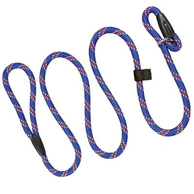 Image of Dog Slip Training Lead Leash Rope for Small Medium Large Dogs (Blue, 150CM)