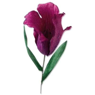 Image of Sizzix Thinlits Flower Making Collection Die Set 5PK, Fringed Tulip, one Size