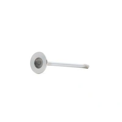 Image of 55564737 Exhaust Valve BGA V029456 25mm VAUXHALL: Corsa Mk3, Astra Mk5