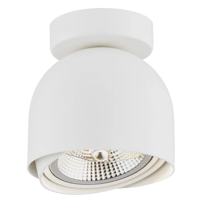 Image of Garland Surface Mounted Downlight White Structure