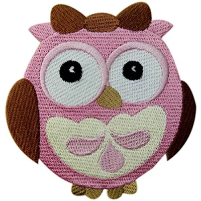 Image of Wide Eyed Baby Girl Owl Embroidered Applique Iron On Sew Patch