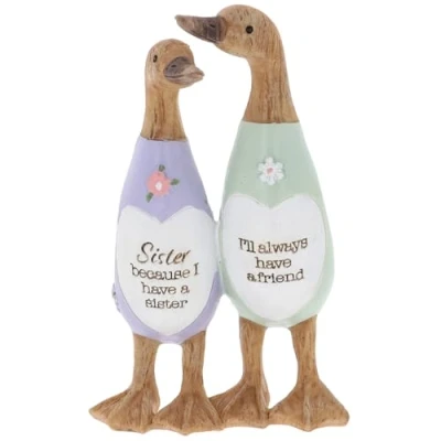 Image of Shudehill Giftware Daisy Message Cute Resin Wooden look Duck Ornament Mum, Nan, Friends, Family and More Sentimental Messages, Gift Ideas For Her (Sister)