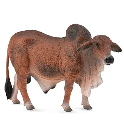 Image of CollectA Red Brahman Bull