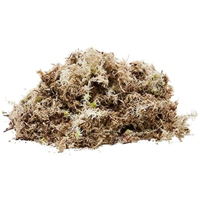 Image of Komodo Habitat Moss, 1.5 Litre
