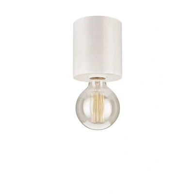 Image of Surface Mounted Downlight White, 1x E27
