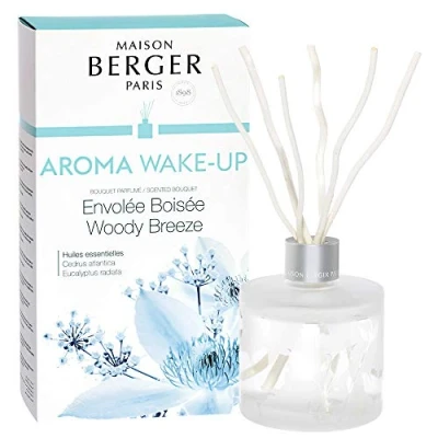 Image of MAISON BERGER Aroma Wake Up Scented Bouquet