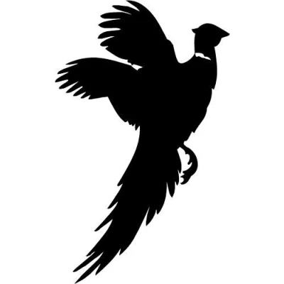 Image of Pheasant Car,Camper Van Window 4x4 Stickers Decals #1
