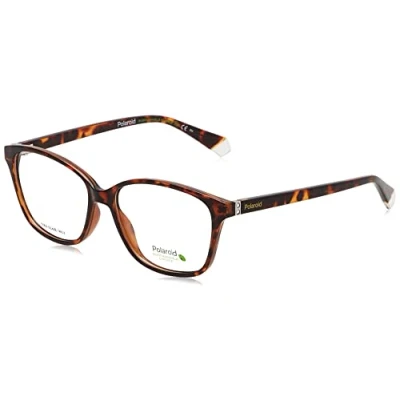 Image of Eyewear Polaroid Pld d466 col. 086 Woman Square Havana