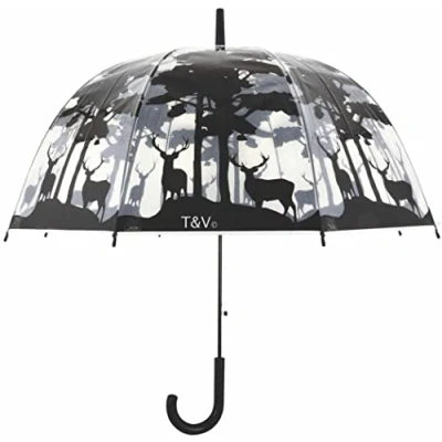 Image of Umbrella Transparent Forest