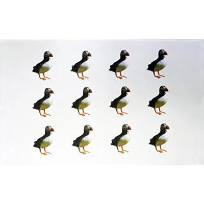 Image of Half a Donkey The Puffins Large Cotton Tea Towel