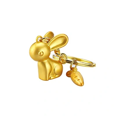 Image of ARFUKA Keyring Rabbit Pendant Keychain Metal Key Ring Charm Jewellery Christmas Birthday Gift Keyrings Chain Holder for Men and Women Gold
