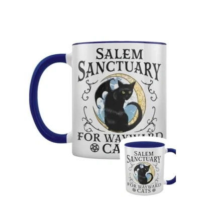 Image of Grindstore Salem Sanctuary for Wayward Cats Blue Inner 2 Tone Mug