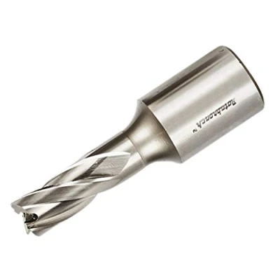Image of Rotabroach Raptor 12mm M2 Standard Cutter