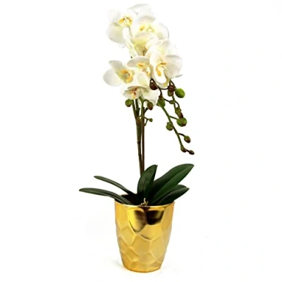 Image of Leaf Design UK Realistic Artificial Orchid Flower Display in Pot,White Gold,54cm