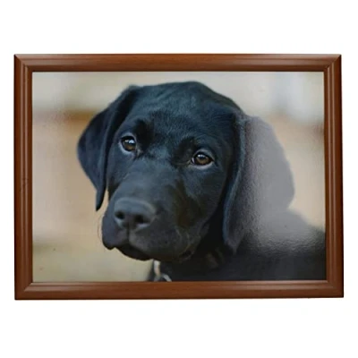 Image of Creative Tops Labrador Printed Laptray, Multicolor, 44 x 34 cm