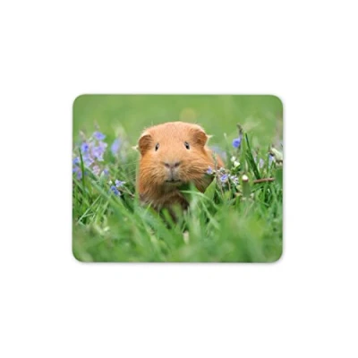 Image of Cute Ginger Guinea Pig Mouse Mat Pad Piglet Animal Gift PC Computer #8558