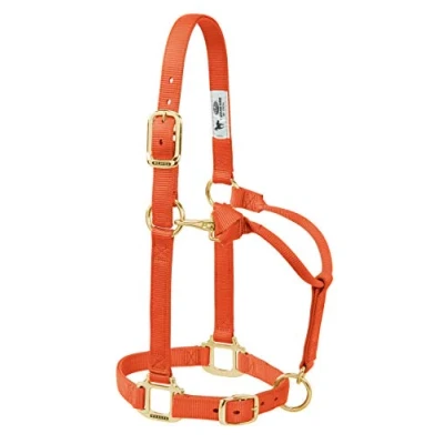Image of Weaver Leather Original Adjustable Nylon Horse Halter, Yearling, Orange