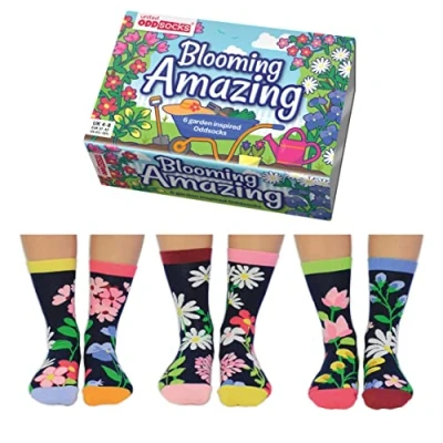 Image of United Oddsocks Blooming Amazing Box of 6 for Ladies UK 4 8