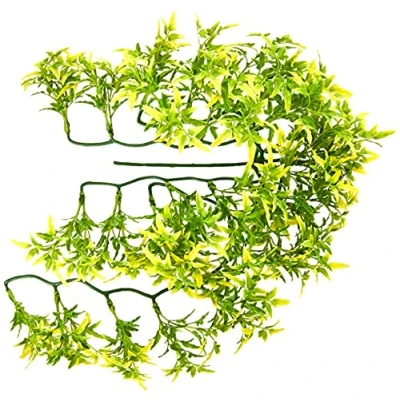 Image of Komodo Croton Plant, 40 cm