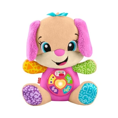 Image of Fisher Price FPP53 Learning Fun Dog Friend, Multicoloured, 1 Stück (1er Pack)