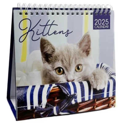 Image of 2025 Month to View Desktop Calendar Home Office Table Work Top Planner Organiser (Kitten)