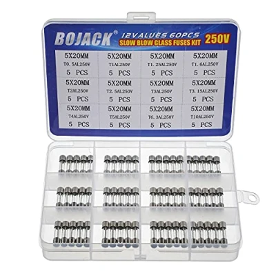 Image of BOJACK 12 Values 60 pcs Slow Blow Glass Fuses Assortment Kit 5x20mm 250V T0.5A 1A 1.25A 1.6A 2A 2.5A 3A 3.15A 4A 5A 6.3A 10A packag in a Clear Plastic Box