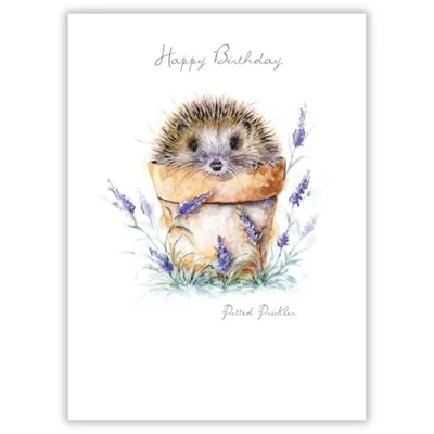 Image of Noel Tatt Artistic Open &#039;Happy Birthday&#039; Greeting Card &#039;Potted Prickles&#039; Hedgehog in Flower Pot Illustration With A Silver Foil Finish From The Pawfolio Range