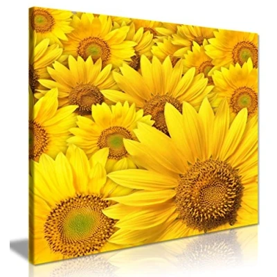Image of Yellow Sunflower Canvas Wall Art Picture Print (16 x 16 Inch)