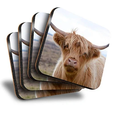 Image of Great Coasters (Set of 4) Square Highland Cow Dartmoor Devon Drink Glossy Coasters/Tabletop Protection for Any Table Type #45328