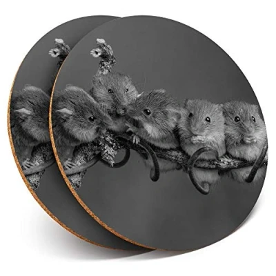 Image of 2 x Round Coasters Field Mice Mouse Animal Cork Backed Home Kitchen Accessory Tea Coffee Mug Mat #42050