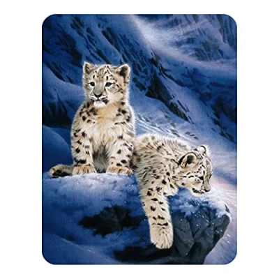 Image of 3D LiveLife Magnet Snow Leopard Cubs from Deluxebase. Lenticular Big Cat Fridge Magnet. Magnetic decor for kids and adults with artwork licensed renowned artist, Joh Naito