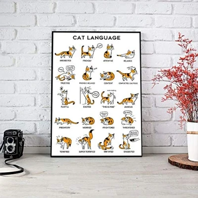 Image of Inga Cat Language Poster Catable Wall Cats Sketch Funny Home Decor Lover Gift Cute Metal Signs 8x12 inch