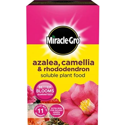 Image of Miracle Gro Azalea, Camellia &amp; Rhododendron Soluble Plant Food 500G Carton