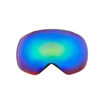 Image of WHISTLER WS6100 1001A Unisex Ski Goggles Black One Size