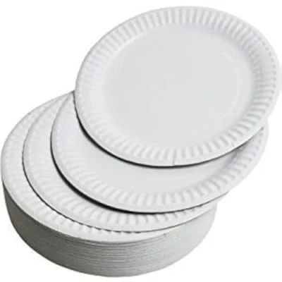Image of LARGE Paper Plates 23cm Pack of 100, Strong Disposable Plates, Party for Hot &amp; Cold Food Ideal Birthday Buffets Picnics BBQ&#039;s Weddings Camping Outdoor