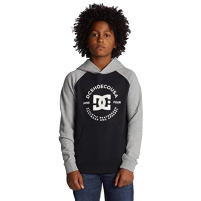Image of DC Shoes Star Pilot Hoodie for Kids