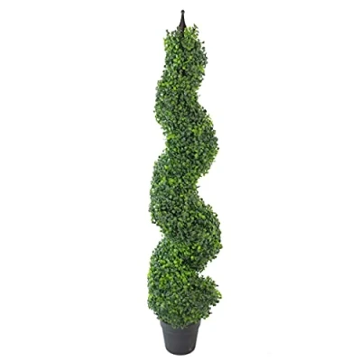 Image of Leaf Design UK Buxus Boxwood Spiral Trees