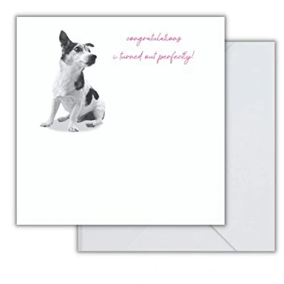 Image of Emotional Rescue Day Card, Funny Perfectly, In Black &amp; White, Open, 163x163mm WMW215 multi