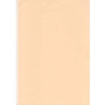 Image of SALMON FLESH PINK A4 Coloured Card 160gsm x 50 Sheets