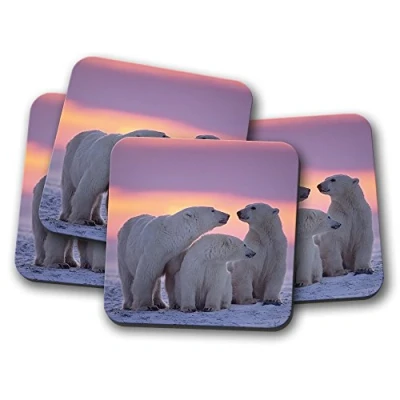 Image of 4 Set Gorgeous Polar Bear Cork Backed Drinks Coaster Sunset Animal Bears #8310