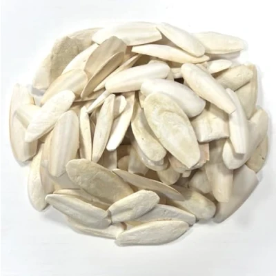 Image of 1kg Premium Quality Cuttlefish Bone (7 10cm) Suitable for Cage Birds, Reptiles etc. SLDS