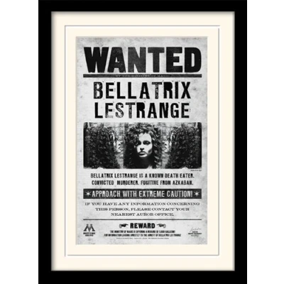 Image of Pyramid International HARRY POTTER Framed Poster of Bellatrix Lestrange Wanted in Azkaban 30cm x 40cm Official Merchandise